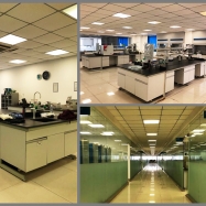 Labs